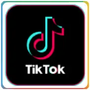 TikTok账号购买 国际版TikTok账号购买 随机区域 电子邮件已验证（带邮箱密码）